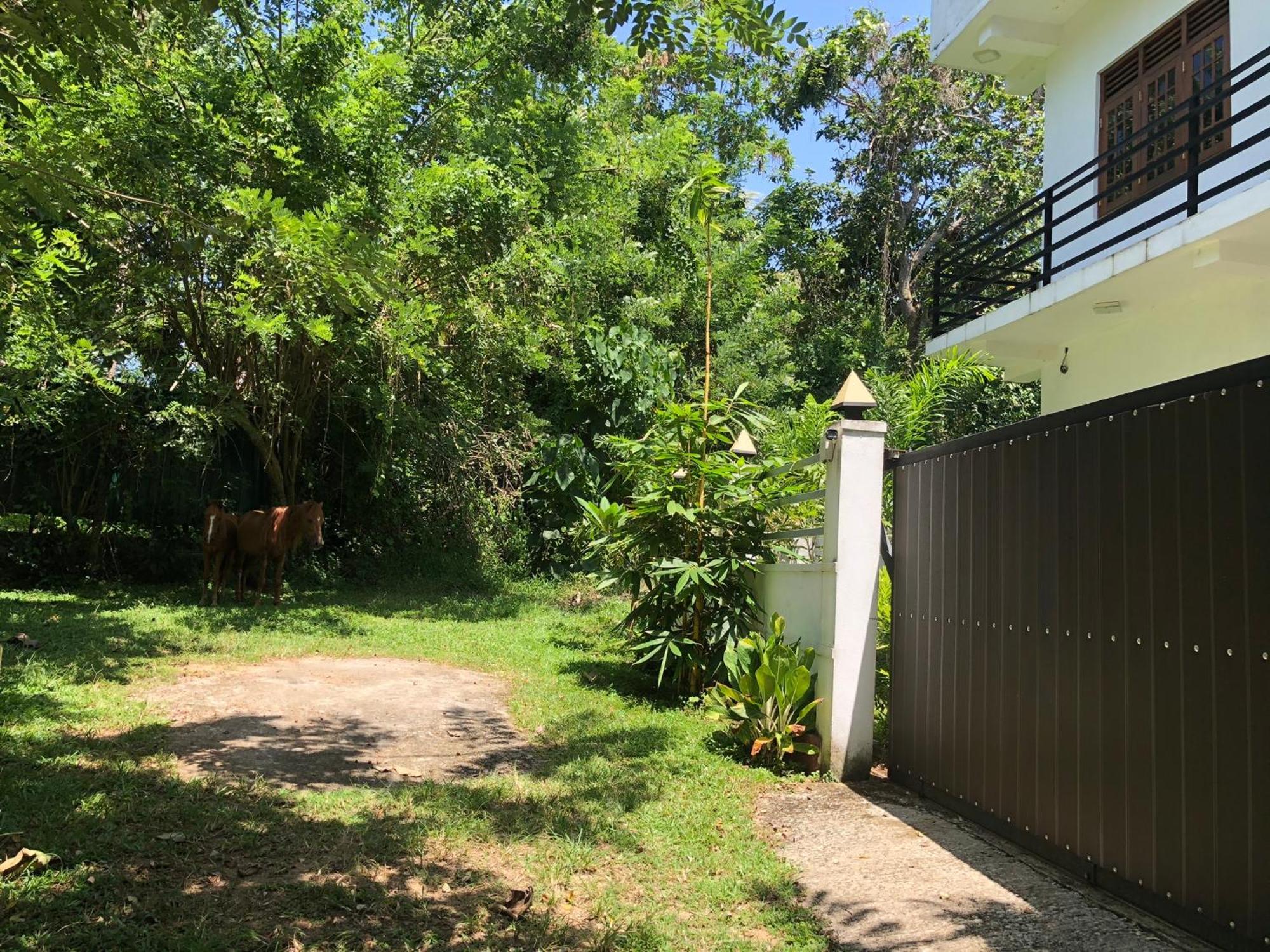 Lanka Villa Mirissa Exteriér fotografie