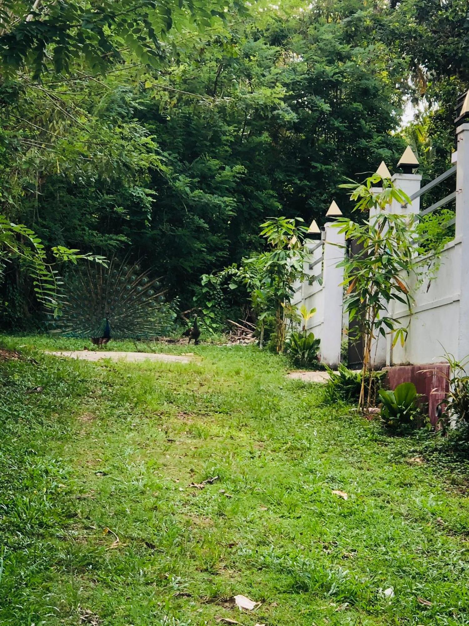 Lanka Villa Mirissa Exteriér fotografie